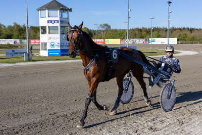 V65-Skive: 1.075 kroner i gevinst