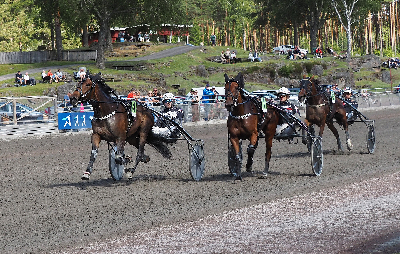 Rosleff vandt på Årjäng