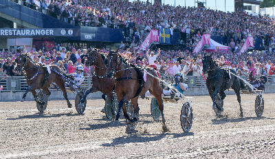 Allegiant – stjerne på begge sider af Atlanten