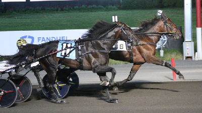 Hambletonian-heste dystede på The Meadowlands