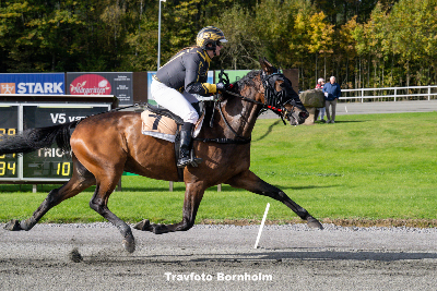 Monté-eliten til Bornholm