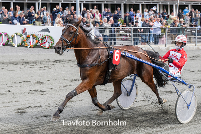 Bornholm: Mads vandt fem ud af ni løb
