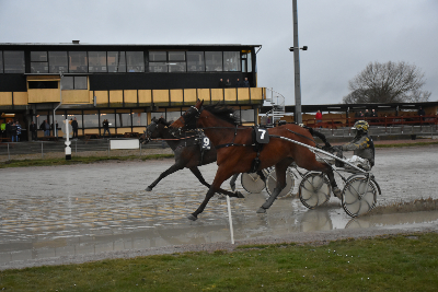 Dansk V65 og danske profiler i V86 på Bet25