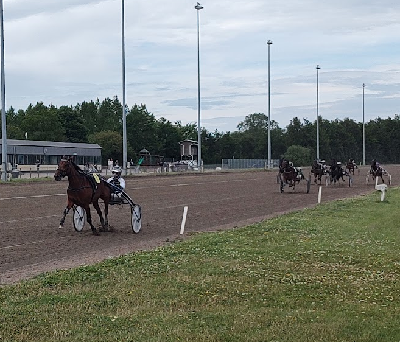 V65: Favoritterne svigtede på Falster