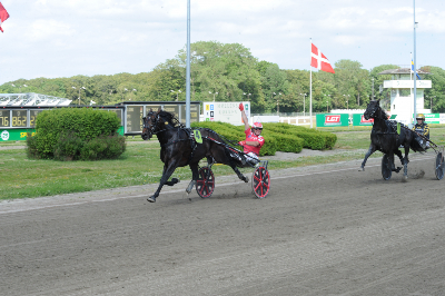 Grand Prix: Favoritterne havde let spil