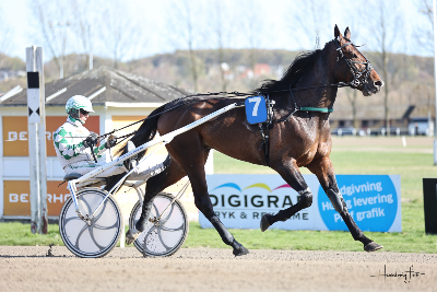 V65-Aalborg:Bliver det en ny favoritomgang?