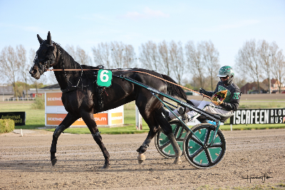 Fra Korfitsen til Anders P.