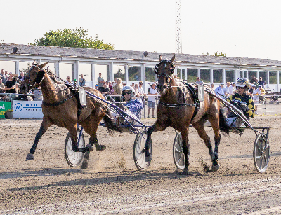 V65: Magnus M. Nielsen aflivede alle gangekuponerne