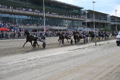 Østrigsk Derby – stor succes for opdrætter