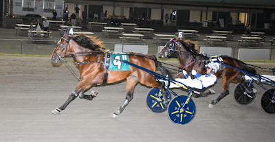 USA: Apex får en hård konkurrent i Hambletonian Stake!