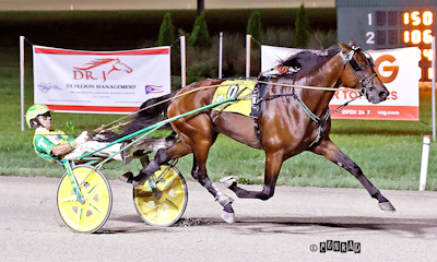 Hambletonianhest fra Ohio