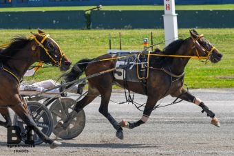 Deliciousstone vandt for 20. gang i USA
