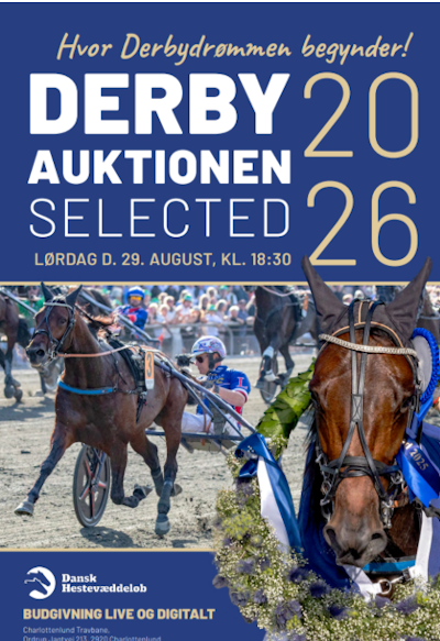 Derbyauktionen 2026: Kataloget nu på nettet