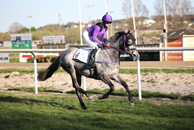 Odense: I trav og galop