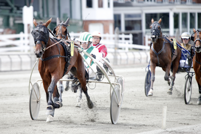 Sælges: Spændende startklar 3 års hoppe!