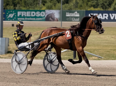 Første 2-åring godkendt i Danmark