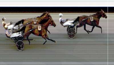 Panamera-hest i Stochampionatet.