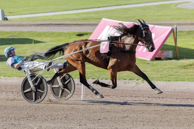 Aabergs Memorial: Allegiant fra spor 1