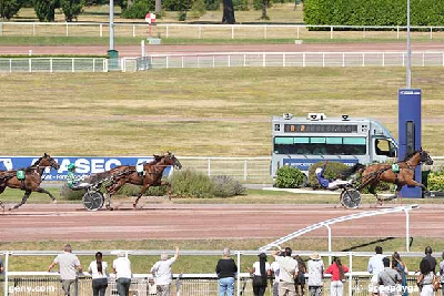 Hurtige franske vallakker