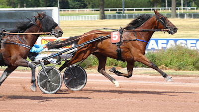 Fransk 3-åring løb 1.09.5 på Enghien