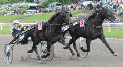 Udvendige 3 Blachman med Morten Juul fanger 1 Bad Moon Rising med Birger Jรธrgensen pรฅ mรฅlstregen og vinder Jydsk 3-รฅrings Grand Prix. Foto Ole Hindby