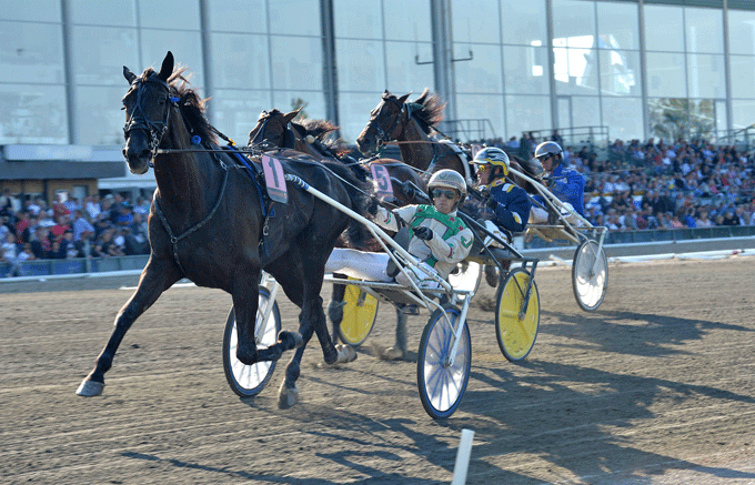 Peter Jensen.trænede FRozen vinder sikkert for Jeppe Juel i ny banerekord. Kanal 75.