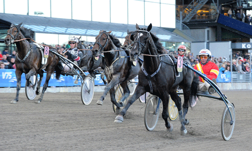 Chelsea Boko - vinder den sin første start på Vincennes? Kanal 75