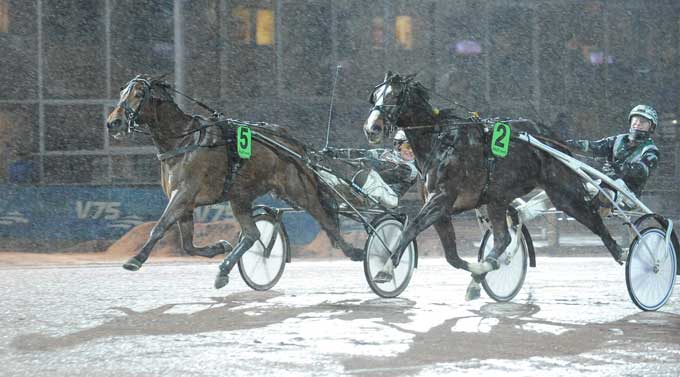 I 7. afdeling bkev der dødt løb mellem 5 Mythical Fortune og 7 Lady Lee. Kanal 75