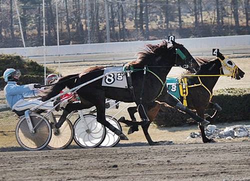 8 Dawning Dream ved sin sejr på Freehold i januar.