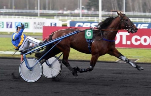 Amiral Sacha med Gabriele Gelormini er favorit i Criterium des 5 Ans. Arkic Gerard Forni