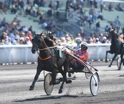 Ave A Avis med Jean Michel Bazire vinder sikkert Criterium des 5 Ans. Foto Gerard Forni.