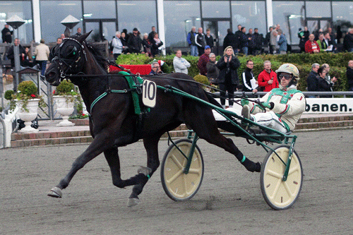 Akermann med Jeppe Juel vandt overlegent i 1.13.9a/2000 m. Foto Martyin Timm HOlmstav