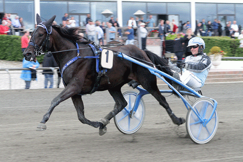 Amalie Bork  - Foto Martin Timm Holmstav