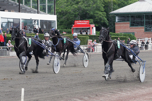 Amazing Dynamite (indv.) vinder sin Derbyprøve - Foto Martin Timm Holmstav