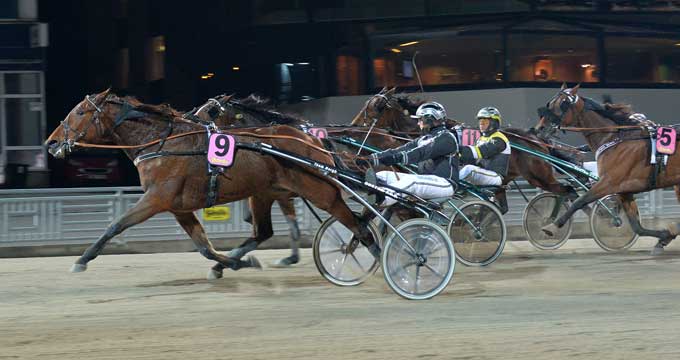 Amazon AM med Robert Bergh sætter svensk rekord med 1.11.7&1660 m volte. Kanal 75