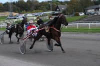 American Photo - Foto: Ole Hindby