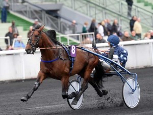Amiral Sacha med Gabriele Gelormini. Foto Gerard Forni