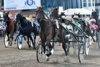 Amulet og Birger Jørgensen er på en svær opgave i Aalborg Hoppe Championat  - Foto: Lasse Jespersen