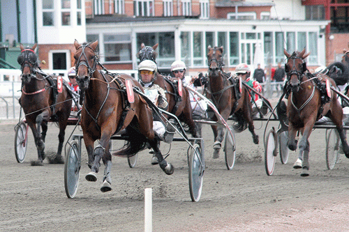 Amulet vinder sin derbyprรธve - Foto Martin Timm Holmstav