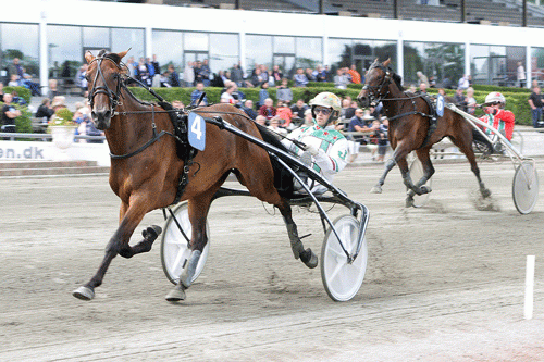 Angelina vinder sin prøve - Foto Martin Timm HOlmstav