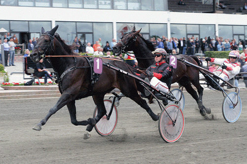 Apapmand med Anders F, Jensen ved sejren i Derbyprøven- Foto Martin Timm Holmstav