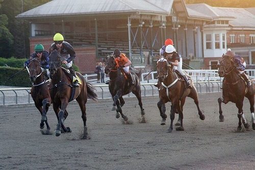 Aqua de Vie var sikker for Nicolaj Stott - Foto: Martin Timm Holmstav