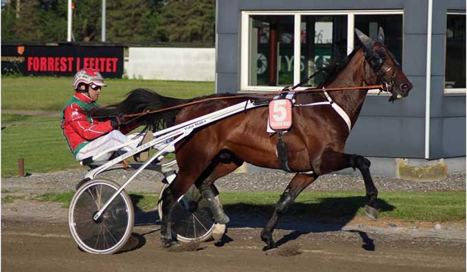 Avatar Shadow var en tiltalende debutant. Foto Rasmus Henriksen,