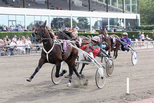 Avatar Shadow med Steen Juul vandt i flotte 1.14.3a/2000 m i sin blot tredje start., Foto Martin Timm Homstav/Lunden