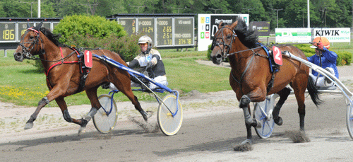 Awesome Annie med Birger Jรธrgensen vandt i kamp med Amanda Vang med Kasper K. Andersen. Foto Ole HIndby