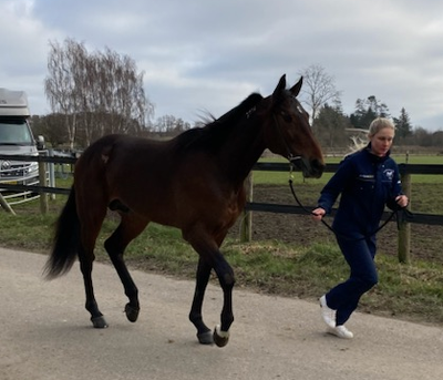 B A Superhero til start på Lunden