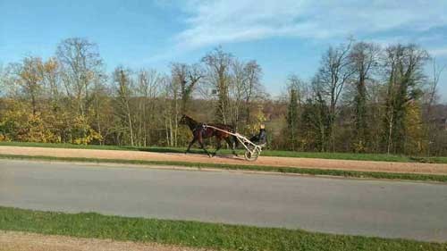 Bombastic Design på træningstur på Grosbois. Foto Kenneth P. Hansen