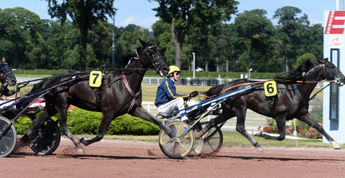Bird Parker vinder sikkert foran Your Highness. Foto Gerard Forni