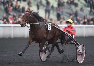 Bold Eagle - svรฆrt at se den slรฅet. Foto Gerard Forni.