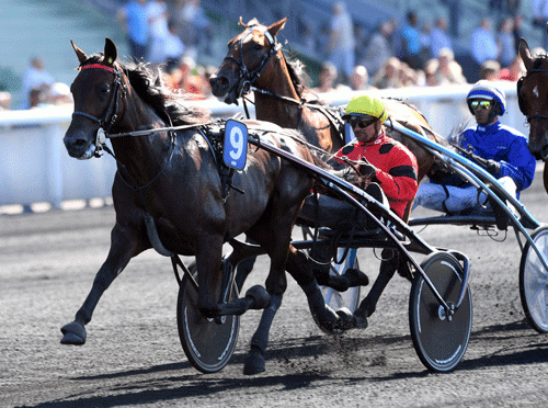 Bold Eagle med Franck Nivard var tidligt i spids . her efter cirka 700 meters kørsel. Foto Gerard Forni